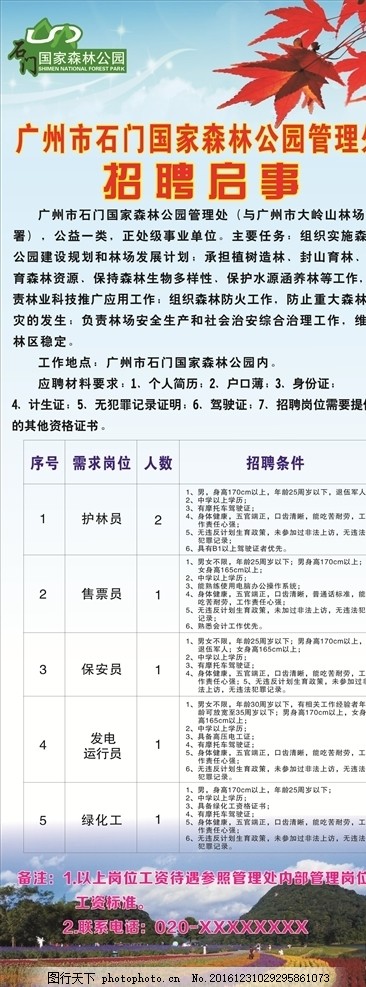 林山村委会最新招聘启事概览