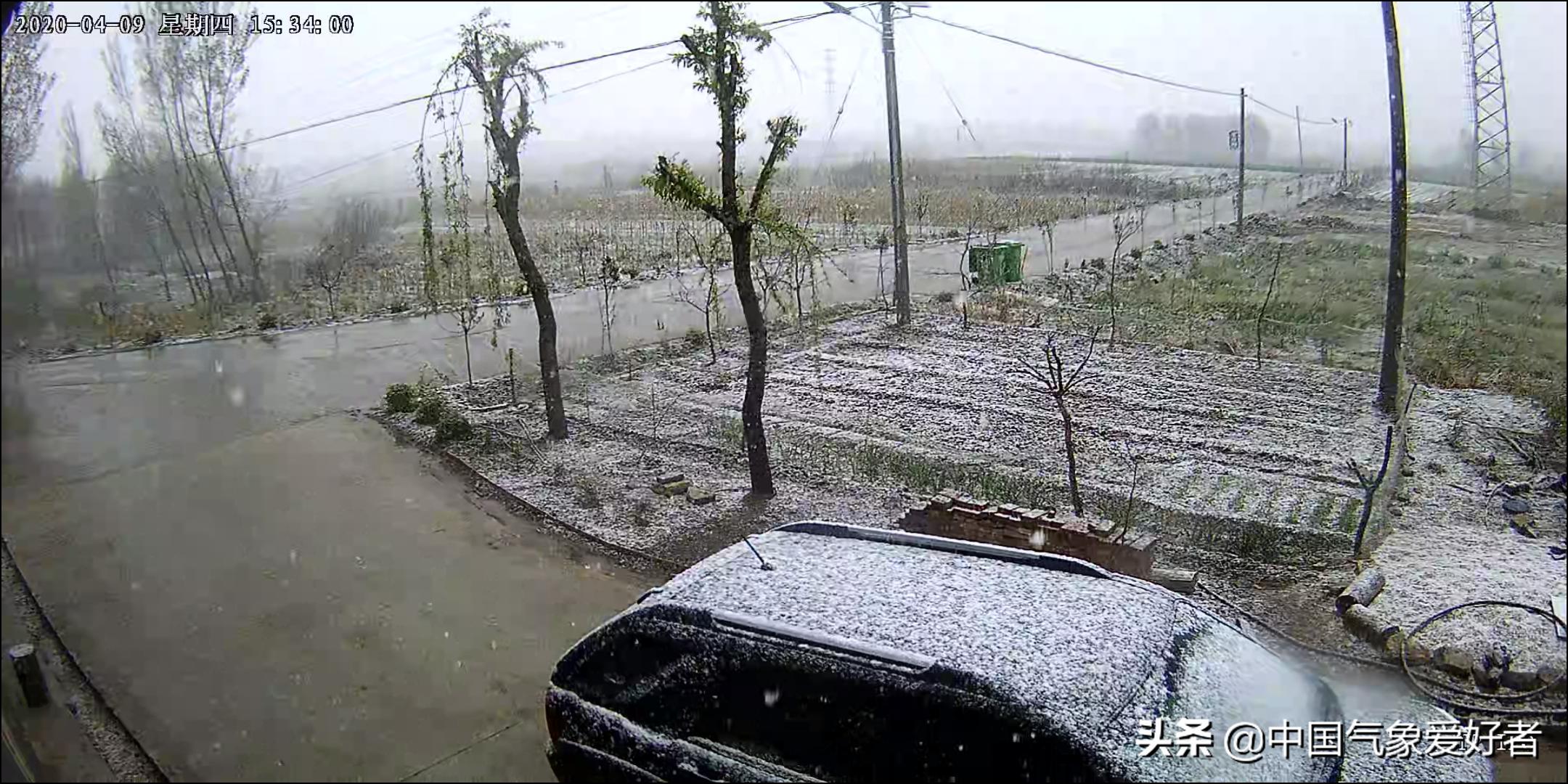 临朐县特殊教育事业单位最新招聘概览