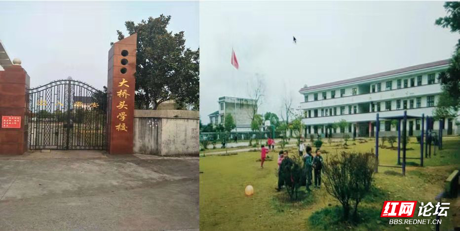 攸县小学最新动态报道