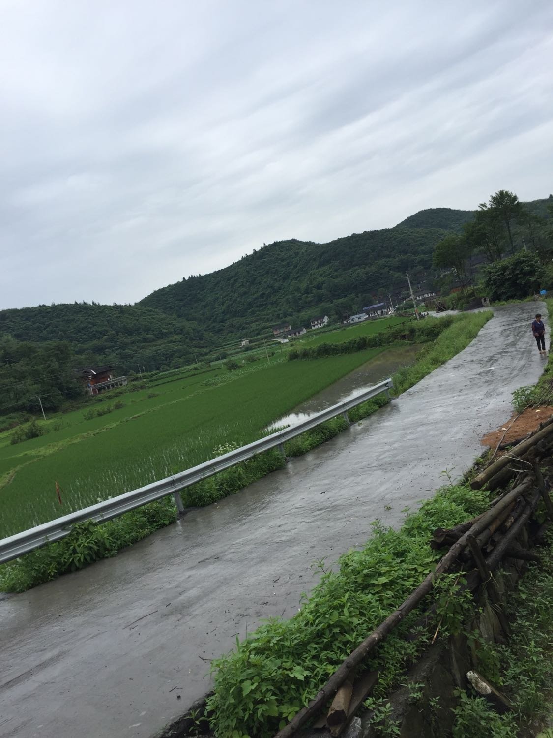 西南镇最新天气预报概览