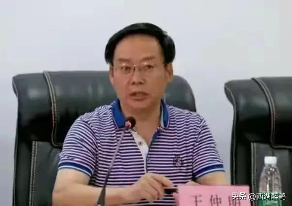 犍为县统计局最新新闻，揭示县域经济发展新动向