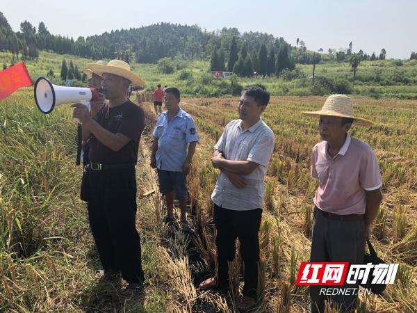 新田县住房和城乡建设局最新新闻报告