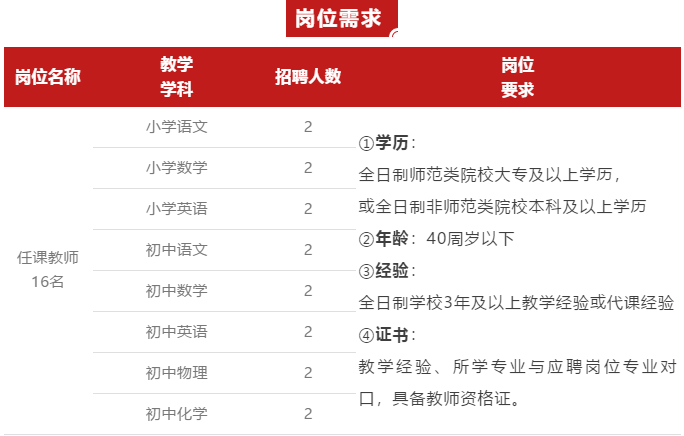 肥城市初中最新招聘信息概览