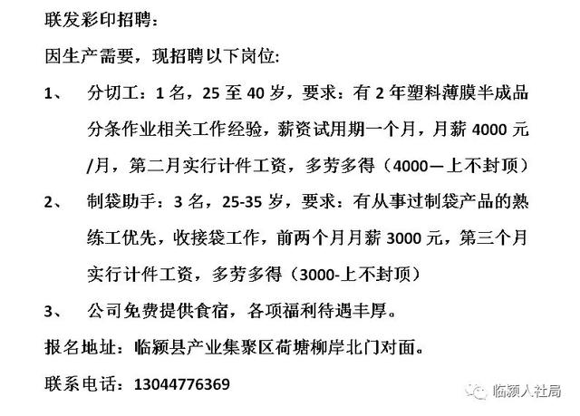 砀城镇最新招聘信息详解及深度解读