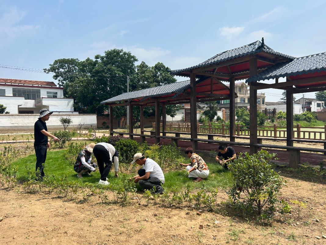 沈丘县卫生健康局发展规划揭秘，构建健康沈丘宏伟蓝图