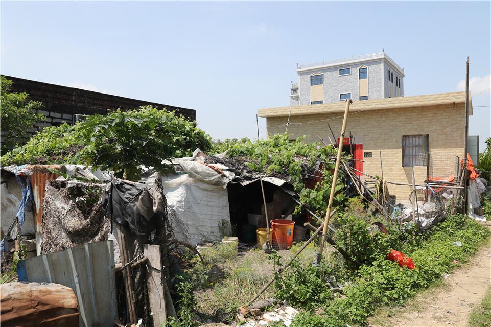 陆丰市住房和城乡建设局最新项目动态