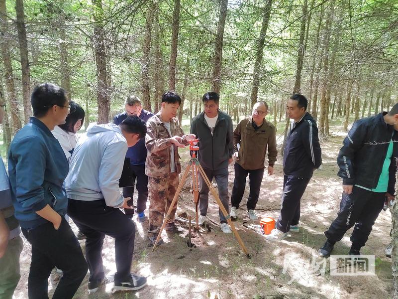 太东林场最新新闻报道